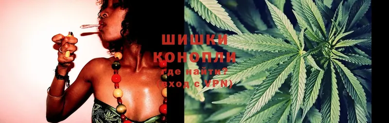 Каннабис OG Kush  Канаш 